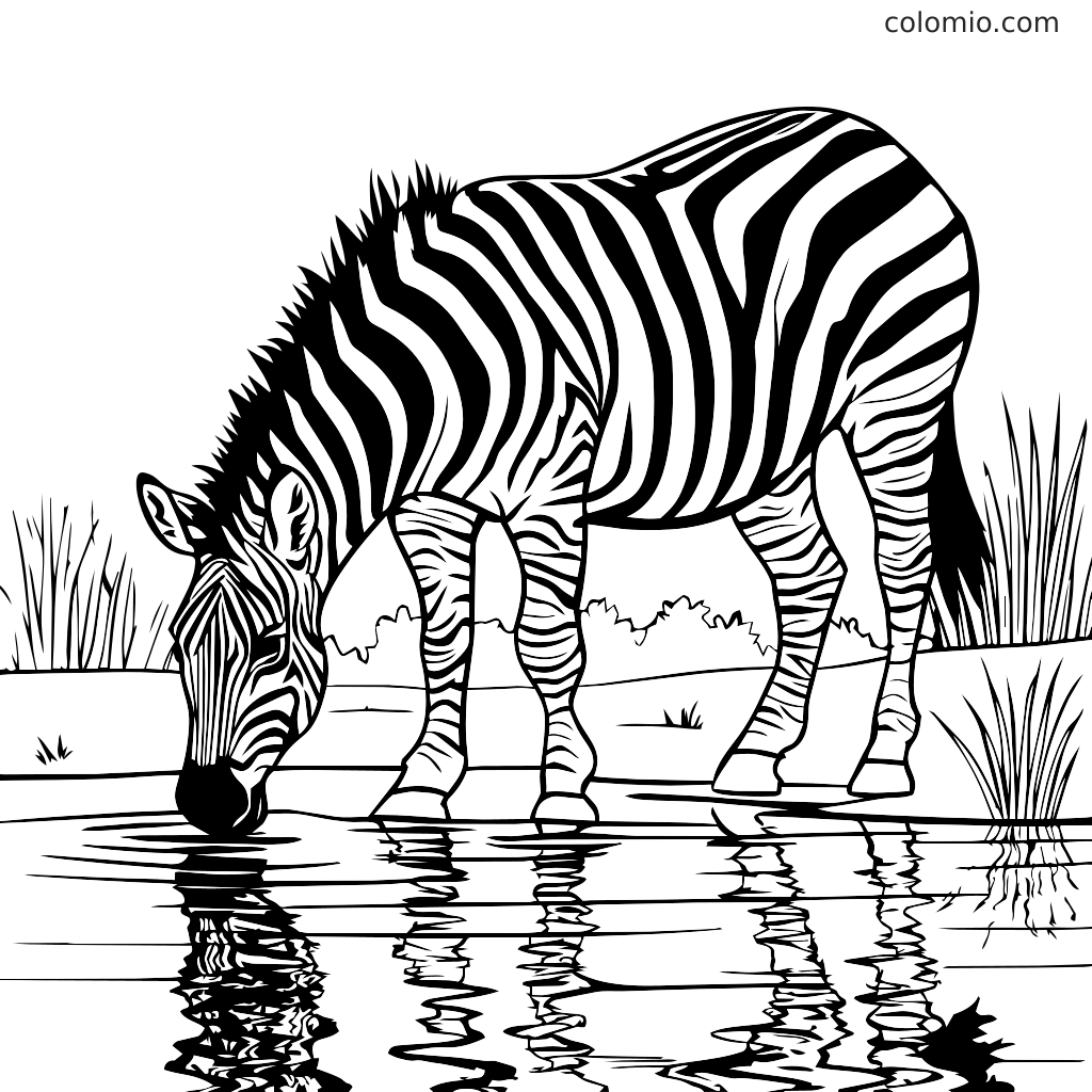 zebra em aquarela para colorir